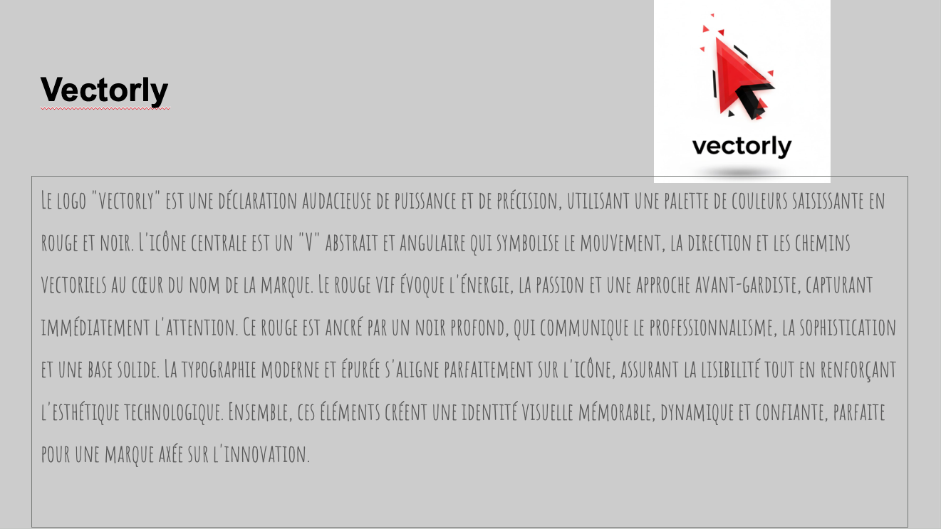 Professional Branding Package.